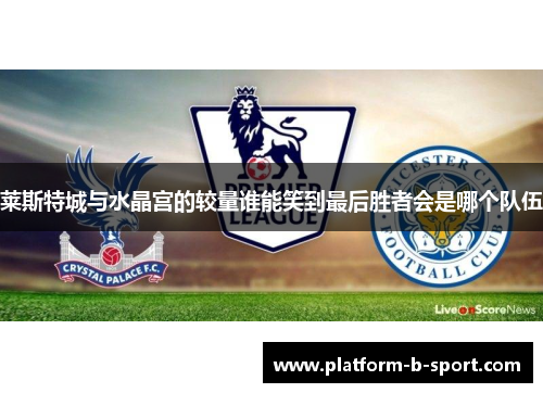 莱斯特城与水晶宫的较量谁能笑到最后胜者会是哪个队伍 莱斯特城与水晶宫的较量谁能笑到最后胜者会是哪个队伍