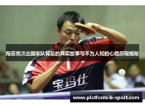 陶菲克淡出国家队背后的真实故事与不为人知的心路历程揭秘 陶菲克淡出国家队背后的真实故事与不为人知的心路历程揭秘